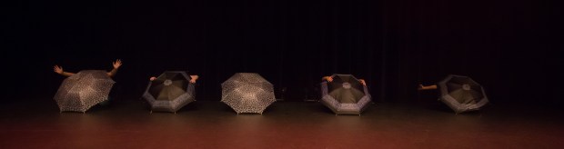 Voorstelling Zevenaar-0977